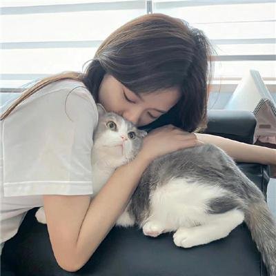金装律师第三季